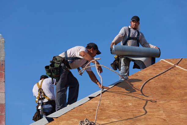 Best Roof Gutter Cleaning  in North Terre Haute, IN